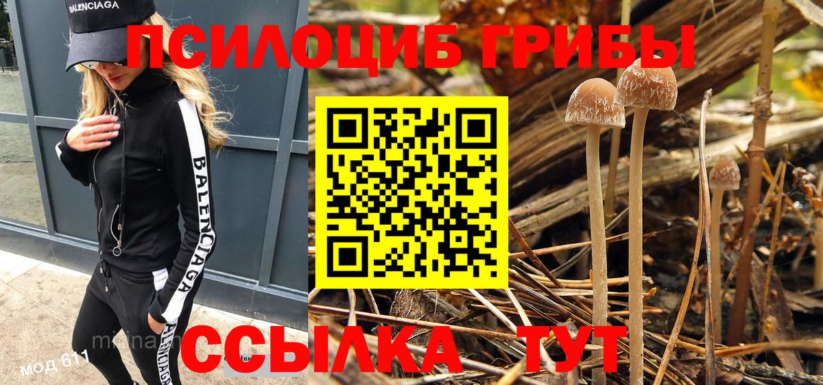 Галлюциногенные грибы Magic Shrooms  Вход с VPN  Тимашёвск  Псилоцибиновые грибы GOLDEN TEACHER 
